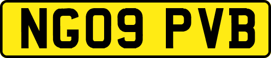 NG09PVB