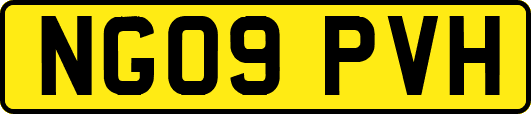NG09PVH