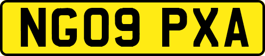 NG09PXA