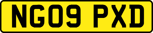 NG09PXD