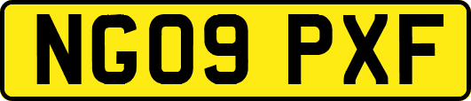 NG09PXF