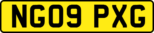 NG09PXG
