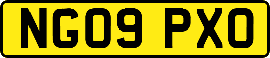 NG09PXO