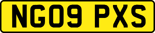 NG09PXS