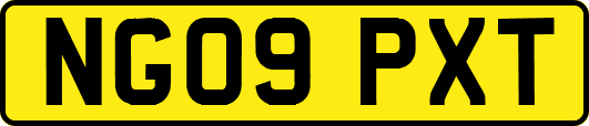 NG09PXT