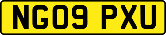 NG09PXU