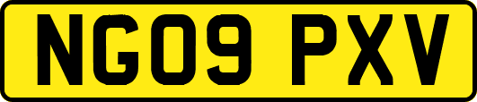 NG09PXV