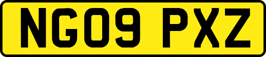 NG09PXZ