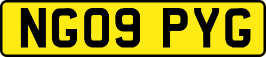 NG09PYG