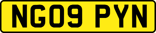 NG09PYN