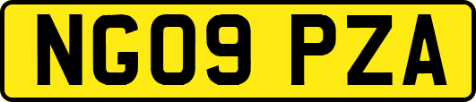 NG09PZA