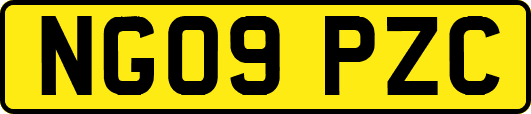 NG09PZC