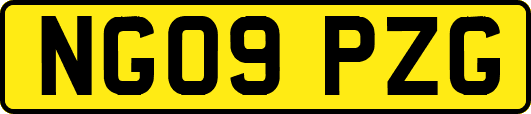 NG09PZG