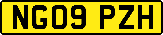 NG09PZH