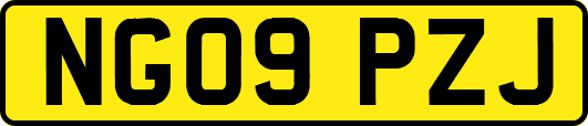 NG09PZJ