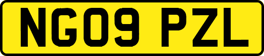 NG09PZL