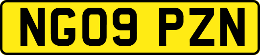 NG09PZN