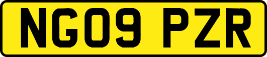 NG09PZR