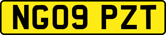 NG09PZT