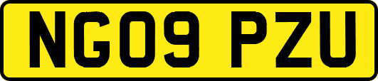 NG09PZU