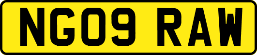 NG09RAW