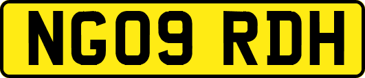 NG09RDH