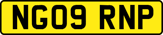 NG09RNP