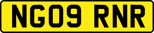 NG09RNR