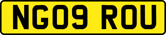 NG09ROU