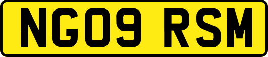 NG09RSM
