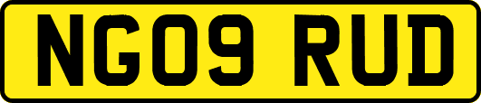 NG09RUD