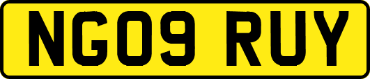 NG09RUY