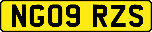 NG09RZS