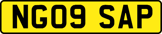 NG09SAP