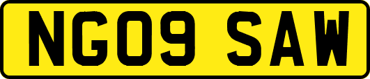 NG09SAW