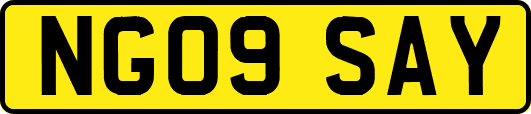 NG09SAY