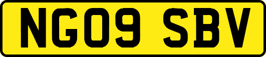 NG09SBV