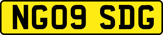 NG09SDG