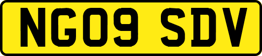 NG09SDV