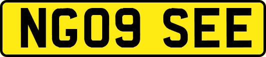 NG09SEE