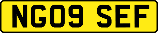 NG09SEF
