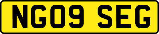NG09SEG