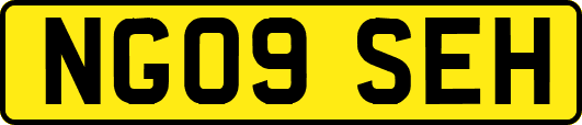 NG09SEH