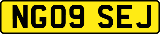 NG09SEJ
