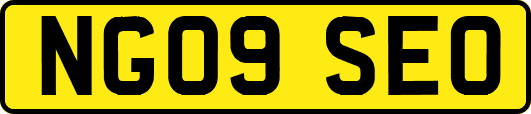 NG09SEO