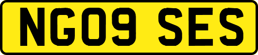NG09SES