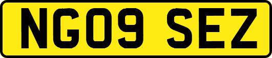 NG09SEZ
