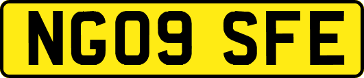NG09SFE