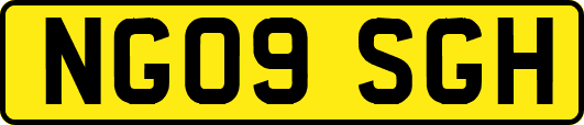 NG09SGH