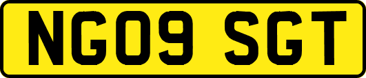 NG09SGT
